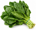 Spinach