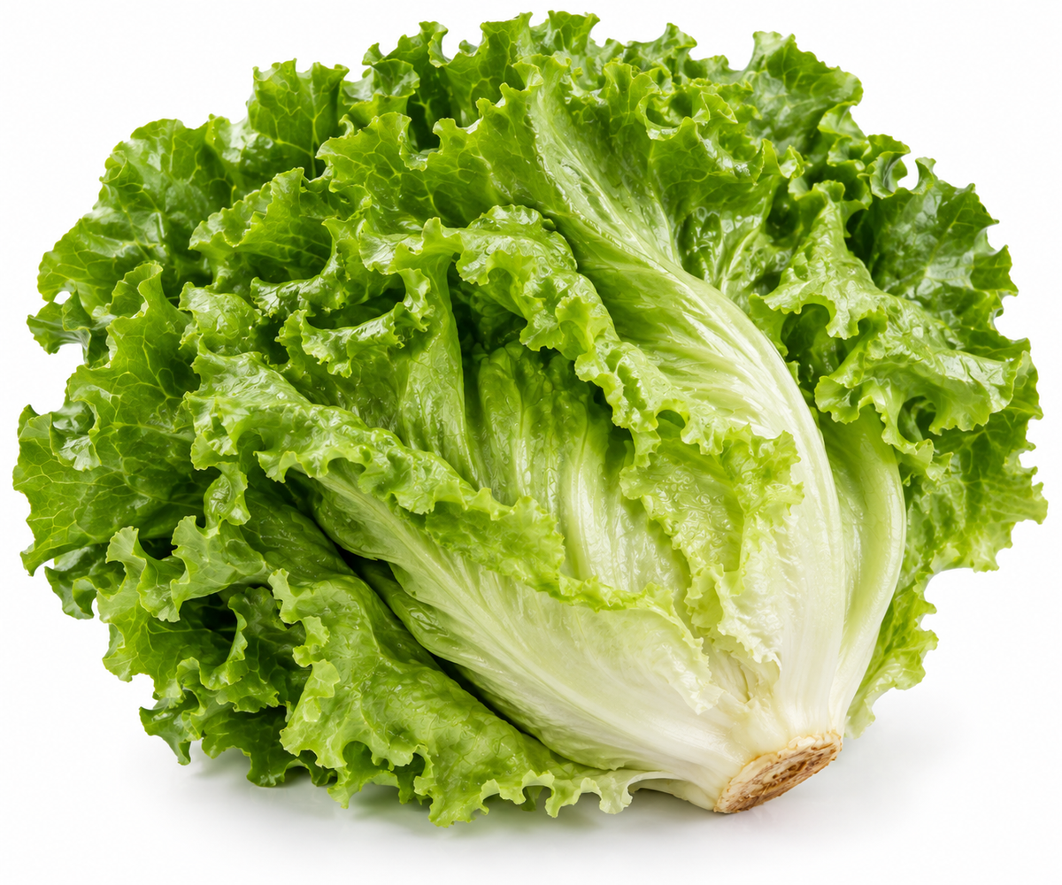 Lettuce