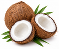 Coconut (each)