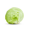 Lettuce